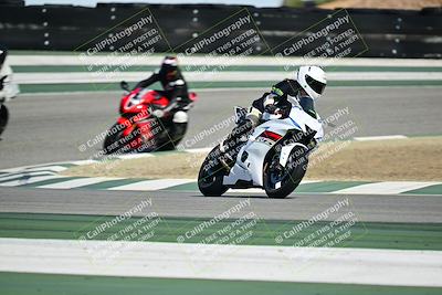 media/Oct-25-2025-2WTD (Sat) [[1e4a1f2fa2]]/C Group/Session 5 (Turn 2)/